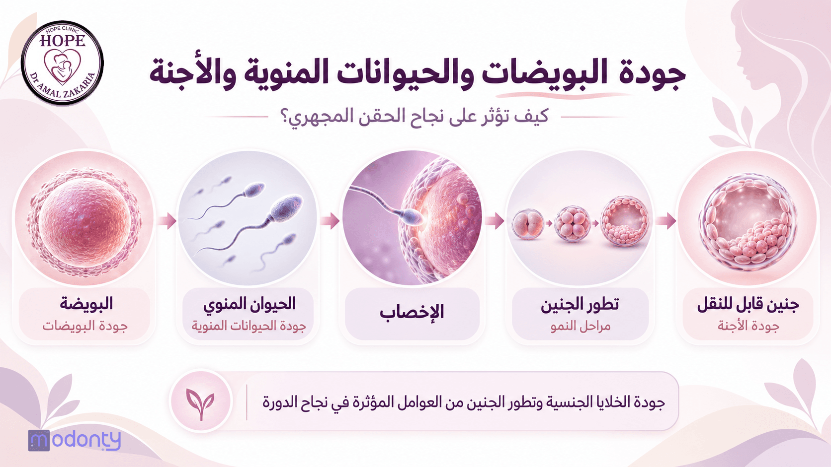 " تصميم مقال 4"