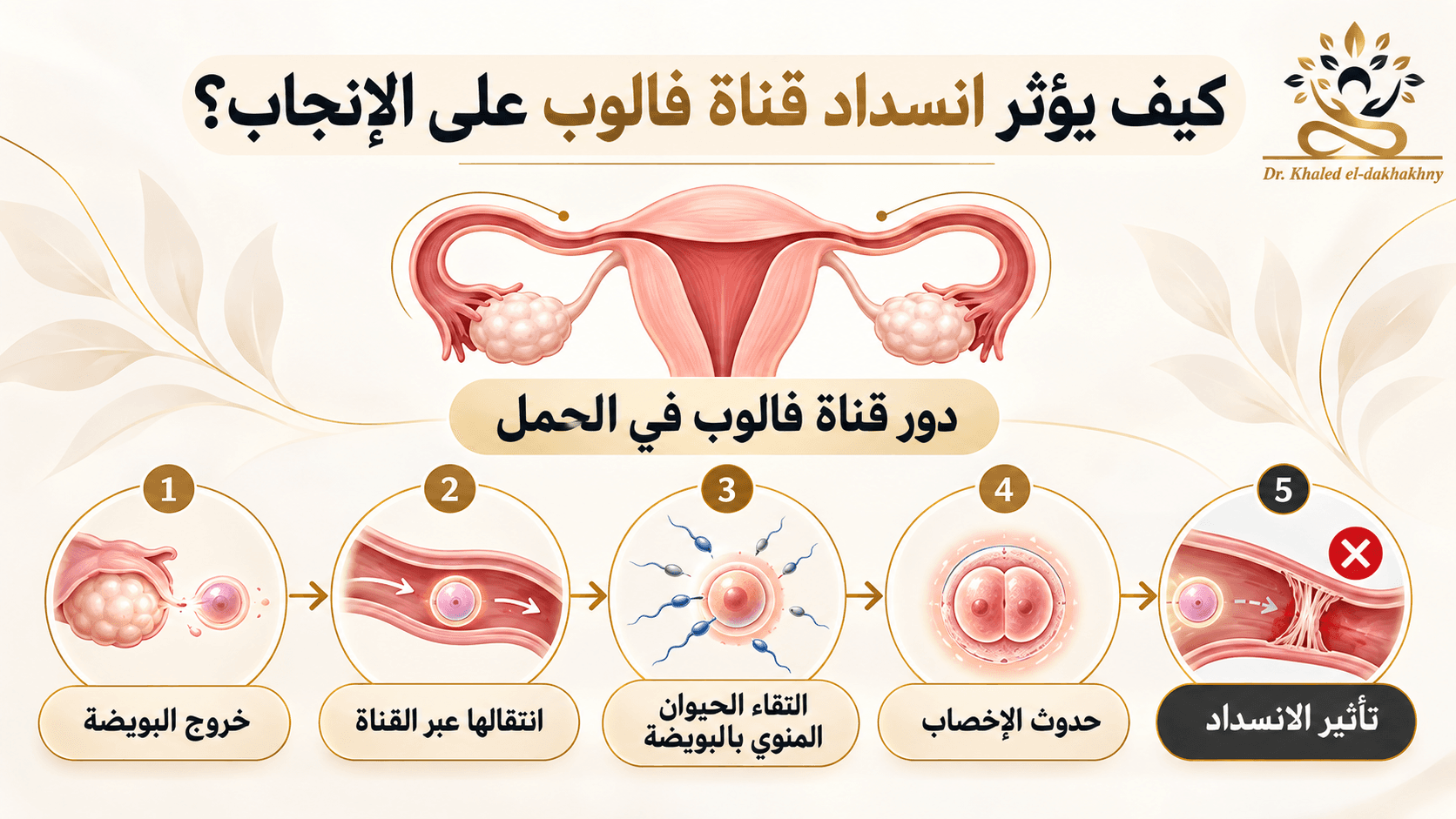 تصميم صور لمقال